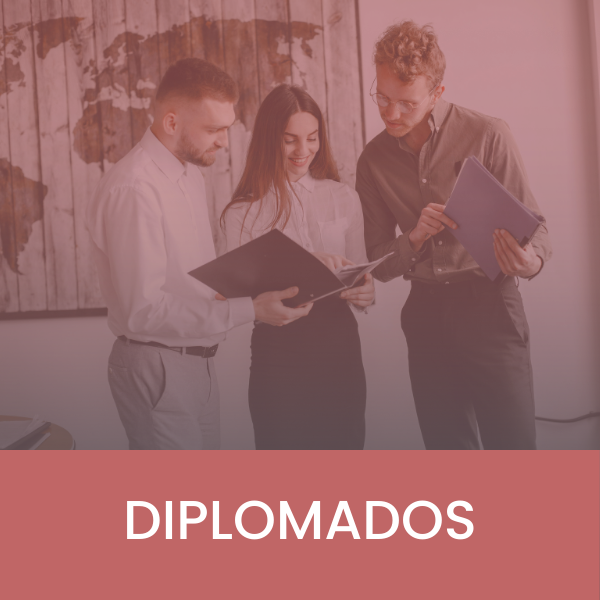 diplomados mises cono sur