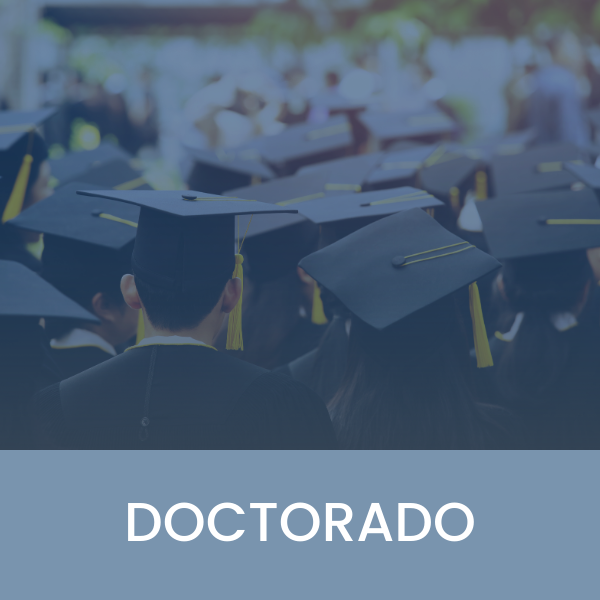 Doctorado Instituto Mises Cono Sur